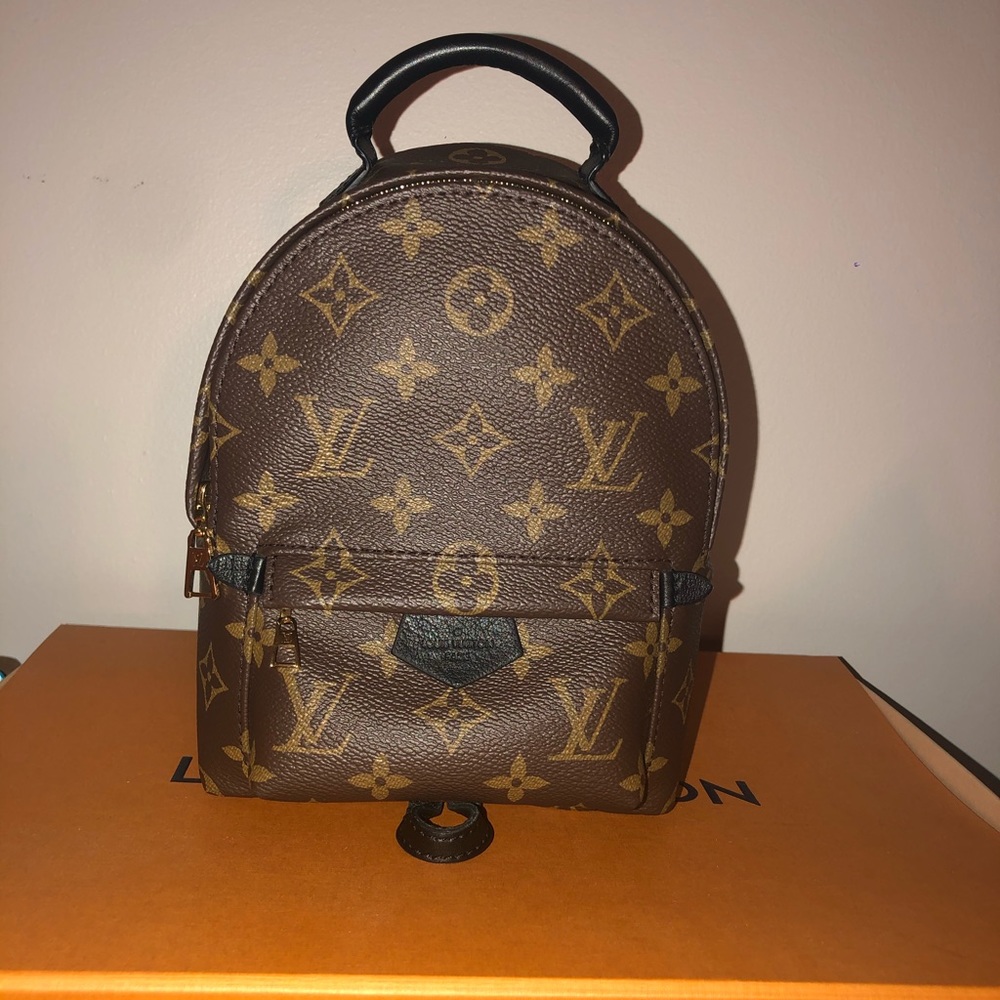 Louis Vuitton Palm Springs mini backpack
